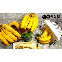 [자연식탁]고당도 델몬트 고산지 바나나 5kg 내외 (4수)