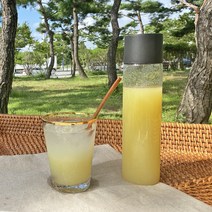 수제 과일청 백향과청 진저레몬청 딸기라즈베리청 자두청 홈카페 590ml, 2) 진저레몬청 590ml