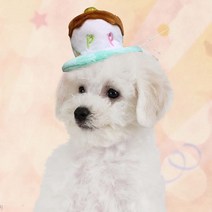 펫 미니 생일케익 머리띠, 보험 가입거절, 핑크