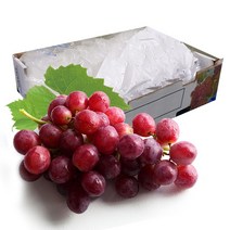 껍질채 먹는 포도 거봉 레드글로브(8.2kg)1박스, 단품