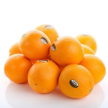 팜플러스 블랙라벨 고당도 오렌지 10개, 10, 개당150g내외