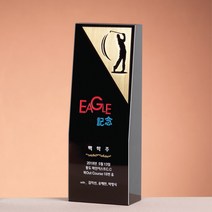 SC18219-5 블랙 크리스탈 트로피 골프 홀인원 싱글패