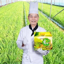 땅끝행복식품 김귀수 부추즙 부추진액 엑기스 100ml, 60포