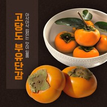 고씨네 특급 태추단감 진영단감 단감 5kg 부유단감단감 진영단감 단감10KG 부유단감 태추단감 김해진영단감 단감판매 창원단감 단감시세 밀양단감 김해단감 단감가격 진영단감판매 단감직거래 진영단감가격 단감태추 창원태추단감 맛있는단감 단감농장 대추단감 제주단감 창녕단감