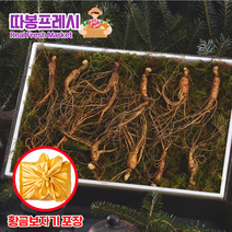 따봉프레시 30년 심마니 백화점용 황제 산양산삼 선물세트 당일발송, 1개, 4호