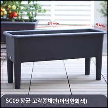 킹마이크로 플라스틱 아담한 회색 항균 고족종 채소 화분 대 4세트 수경재배 베란다 종채 야채 식재용, 단품