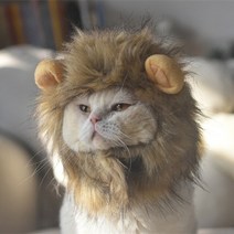 고양이 할로윈 개 lion costume for dog cat lion costume pet costume 맞춤형 lion wig for cat pet wig, 라이온 스누드 28cm