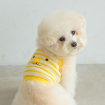 스판 통기성 좋은 반려동물 데일리룩 엔돌펫 코볼티 크롭나시 (노랑)