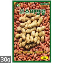 적작두콩 씨앗 10립 - 씨 작두콩씨앗 작두콩씨 작두콩 콩씨앗 콩씨 텃밭 주말농장, 01_고소미땅콩(30g)