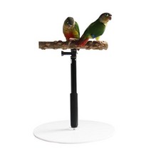 새 횃대 bird stand wood play stand for pet 나무 앵무 play stand cockatiel 놀이터 with retractable design, 검은색