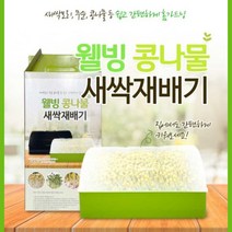 콩나물기르기 콩나물키우기키트 유치원 어린이집 초등학생 학습발달