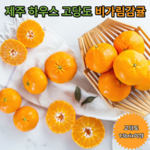 제주농협 비가림귤 제주도 제철과일 당도높은 비가림감귤 500g 800g, 800gX2팩[22과 내외]