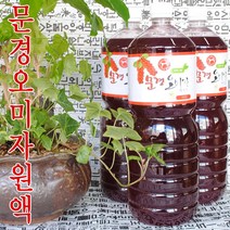 초록사랑 문경오미자원액 오미자엑기스, 3개, 1.8L