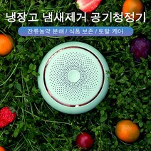 공기청정기 냉장고살균탈취기 오존탈취신기 펫살균소독 휴대용탈취기, 연한 녹색