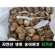 [2kg국내산새송이버섯] 식품의즐거움 무농약인증 국내산 새송이버섯 1kg 2kg모음, 새송이버섯 특 1kg