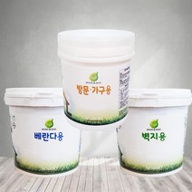 노루페인트 친환경 수성페인트 순앤수 방문가구용 벽지용 베란다용, 순앤수 방문가구용 1L 퓨어화이트