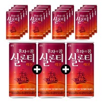 롯데칠성음료 실론티, 175ml, 24개
