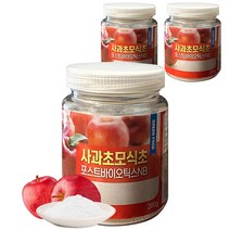 포스트바이오틱스 사과초모식초 포스트바이오틱스NB 프락토올리고당 유산균 생유산균19종 200g, 3개