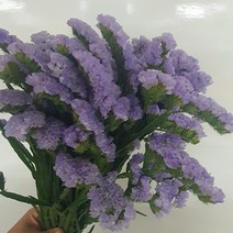 스타티스 - 연보라 / 고속터미널꽃시장 꽃도매 계절꽃 서리풀플라워