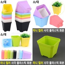 플라스틱화분 대 그린 텃밭상자 실내정원 미니텃밭