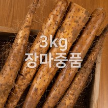 태산농장 마 안동마, 1개, 3kg (장마 중품)