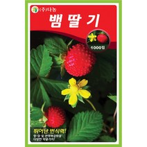 뱀딸기씨앗 1000립 산딸기 씨앗 종자