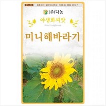 미니해바라기 씨앗, 1개