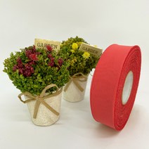 포장 리본 끈 제이제이리본 쉬폰리본25mm 40mm 21컬러 (길이 45M) 공단리본, CF20, 25mm