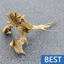 유목 대형 72.1cm 국산