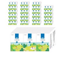 릴리프 포유 미니 포켓티슈, 10매, 48팩