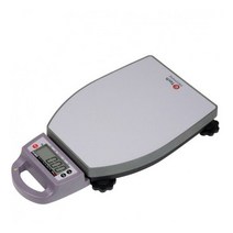 지테크 이동형 고중량 전자저울 GL-6000S 20kg~200kg 산업 검수 한약재료 화물, GL-6000 (20kg／10)