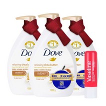 쉐어버터 바디워시 1L 3개 + 치약, 쉐어버터 바디워시 1L 3개 + 증