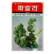 고추 부추 피마자 파슬리 씨앗 택1 씨앗심기 씨앗재배 씨앗발아, 84번 파슬리 500립