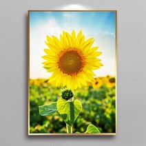 화색갤러리 풍수 소형사이즈 16종 해바라기 그림 액자 프리미엄 캔버스천으로 인화, 11해바라기