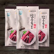 푸르젠 HACCP인증 국내산 장흥축협 한우육포, 40g, 1봉, 1봉