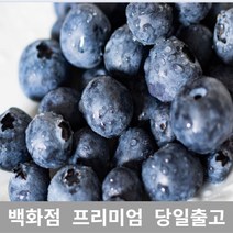 블루베리 300g 과일 제철과일 크랜베리 블루베리효능 429517EA, 1, 본상품선택
