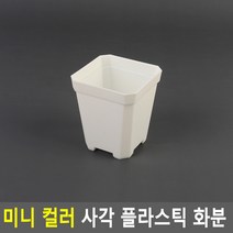 미니 사각 플라스틱 컬러 화분 소형 어린이집 화단 꾸미기 체험 교구 다육이 7x8cm 소 화이트