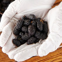 [산지직송] 국내산 햇 청일품종 오디(급냉), 5kg(특품), 1개