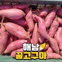 해남 세척 베니하루카 꿀고구마 3kg 5kg 10kg, 3. 꿀고구마 3kg 특상(120g~300g)