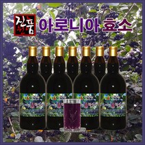 장녹원 아로니아효소 1100ml, 1병