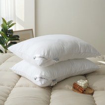 베딩나라 아토앤알로 국내생산 1+1 낮은/높은/경추 마이크로화이바 알러지케어 항균 베개솜, 01.1+1 마이크로 소프트솜:40X60