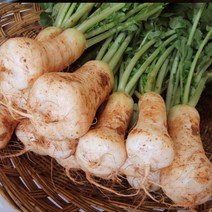 [산정] 알타리 총각무 1단(3kg내외)