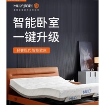 가정용 전동침대 리클라이너 병원 침대 Xilinmen 제로 압력 스마트 M3 마스터 침실 결혼 라이트 럭셔리 다기능 전기 가죽 더블 현대 단순, [01] 1500mm*2000mm, [02] [업그레이드된 밀란 그레이블루 푹신한 침대 +, [01] 뼈대