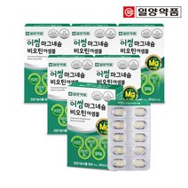 일양 어썸 마그네슘 비오틴 비타민B 어셈블 6박스, 단품, 단품
