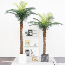 대형 인조 야자수 조화 나무 야외 장식품 화분 카페 정원 마당 인테리어, 320cm 코코넛 나무