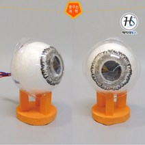 눈모형 만들기 (4인용)