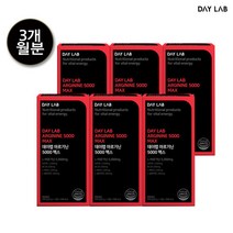 [3개월분]데이랩 아르기닌 5000 맥스 15포 6박스, 단일속성