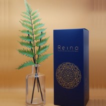 레이나퍼퓸 프리미엄 고사리 플라워디퓨저 150ml, 쉐이프병_자몽