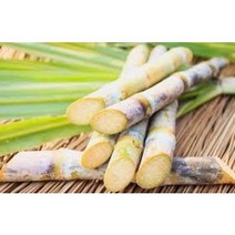 베트남산 초록 생사탕수수 스틱 FRESH SUGAR CANE 15kg, 1박스 / 15kg