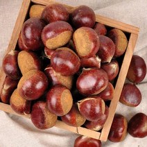 부여직송 GAP 인증 굿뜨래 햇 알밤 2kg중대특, 03번 햇 알밤 2kg(특)